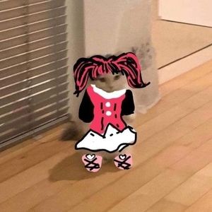 Meet your Posher, Diana